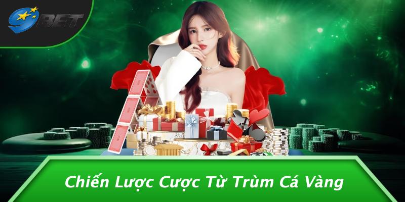 Chiến Lược Cược Từ Trùm Cá Vàng