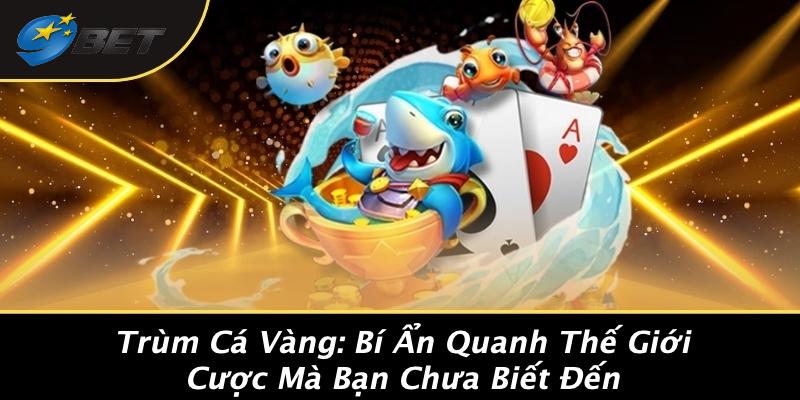 Trùm Cá Vàng: Bí Ẩn Quanh Thế Giới Cược Mà Bạn Chưa Biết Đến